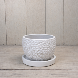 サザナミボール陶器鉢ホワイト受け皿付き観葉植物用植木鉢S〜3Lサイズ